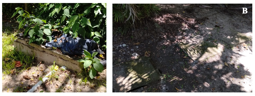 A collage of a dog and a dog in the woods

AI-generated content may be incorrect.