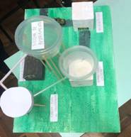 Uma imagem contendo mesa

Descrição gerada automaticamente