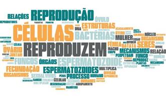 Gráfico

O conteúdo gerado por IA pode estar incorreto.